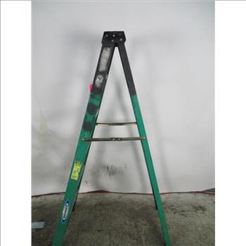 Werner 6' Step Ladder