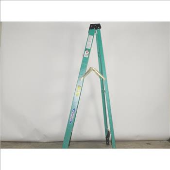 Werner 6' Step Ladder