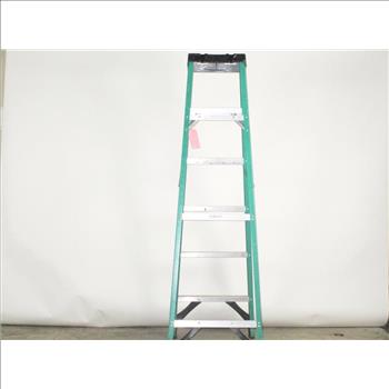 Werner 6' Step Ladder