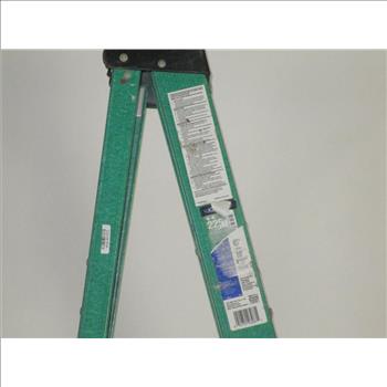 Werner 6' Step Ladder
