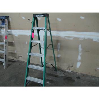 Werner 6' Step Ladder