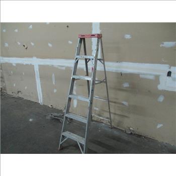 Werner 6' Step Ladder