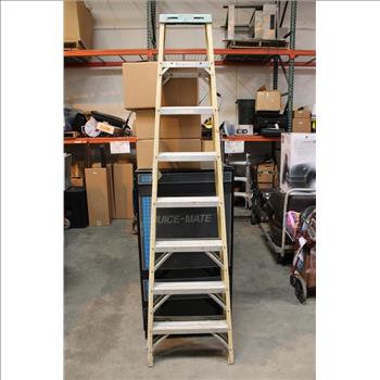 Werner 6058 Electro Master 8 Ft Ladder