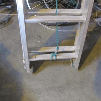 Werner Aluminum Ladder Model D1224-2