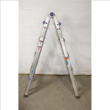 Werner Aluminum Telescoping Ladder
