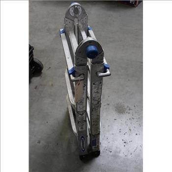 Werner Extendable Ladder