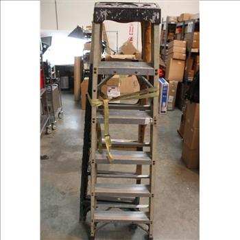 Werner, Green Bull Ladders: 2 Items