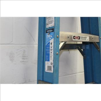 Werner Heavy Duty Ladder