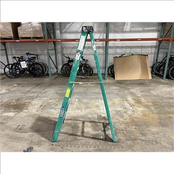 Werner Ladder