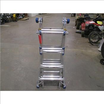 Werner Ladder