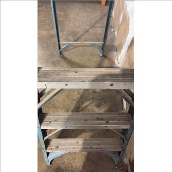 Werner Ladder