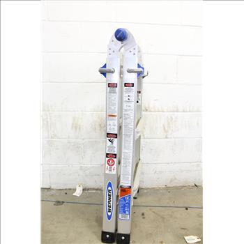 Werner Telescopic Ladder