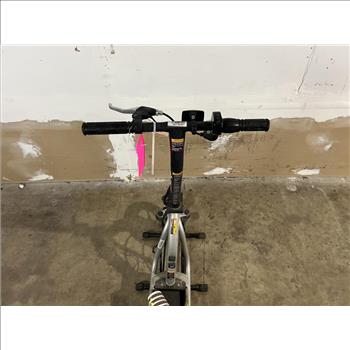 Zip Electic Scooter