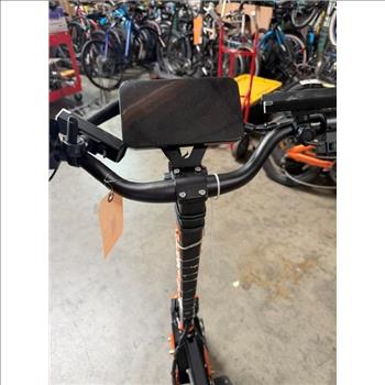 ZSnake Electric Scooter