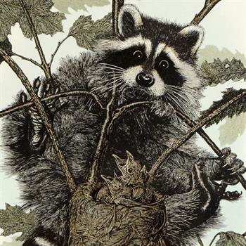 Alan E. Carman (1923 -2011) - 