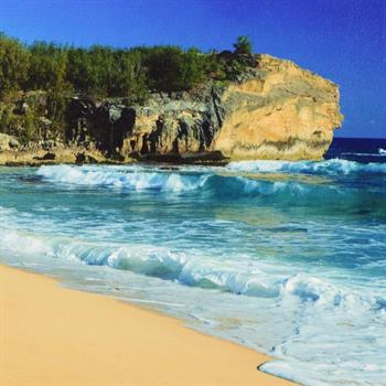 Barry Dukoff (1941-2011), 