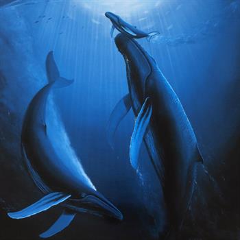 Wyland, 