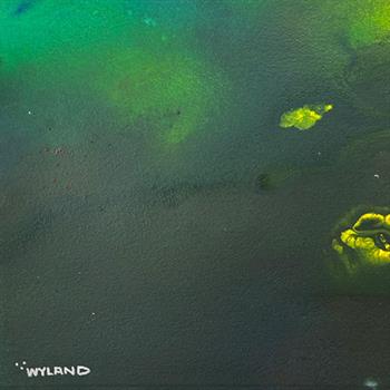 Wyland, Framed Original Painting, Hand Signed by the artist and with a letter of authenticity.