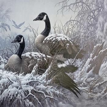 Larry Fanning (1938-2014), 