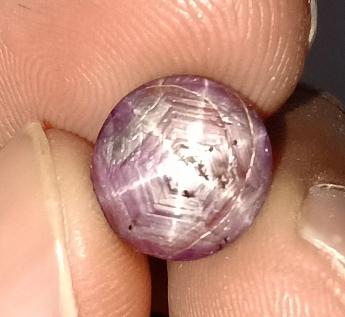 5.9 Carats Star Ruby Gemstone Appraised $11,800.00