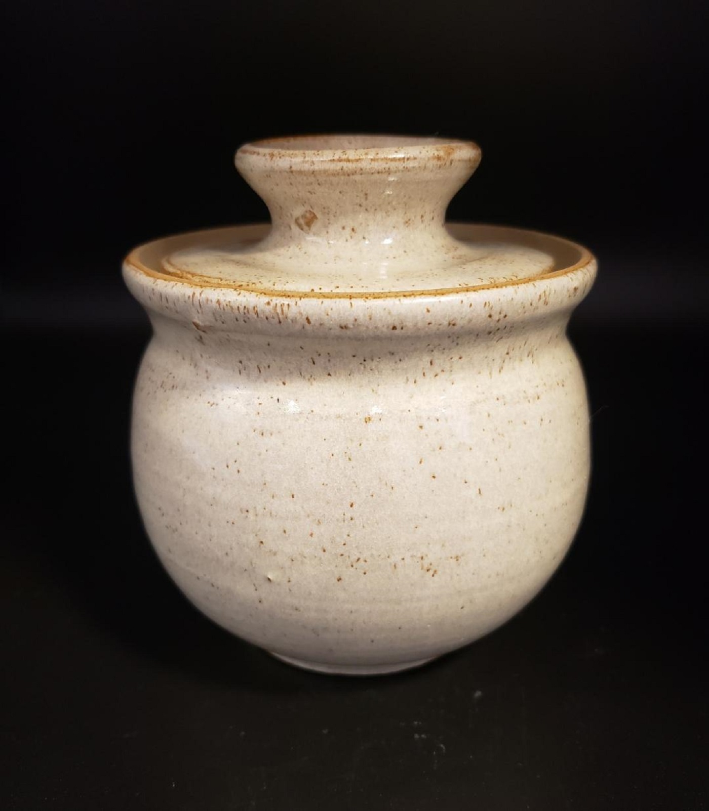 Vintage Hull Oven Proof Pottery Garlic Keeper/Jar Property Room