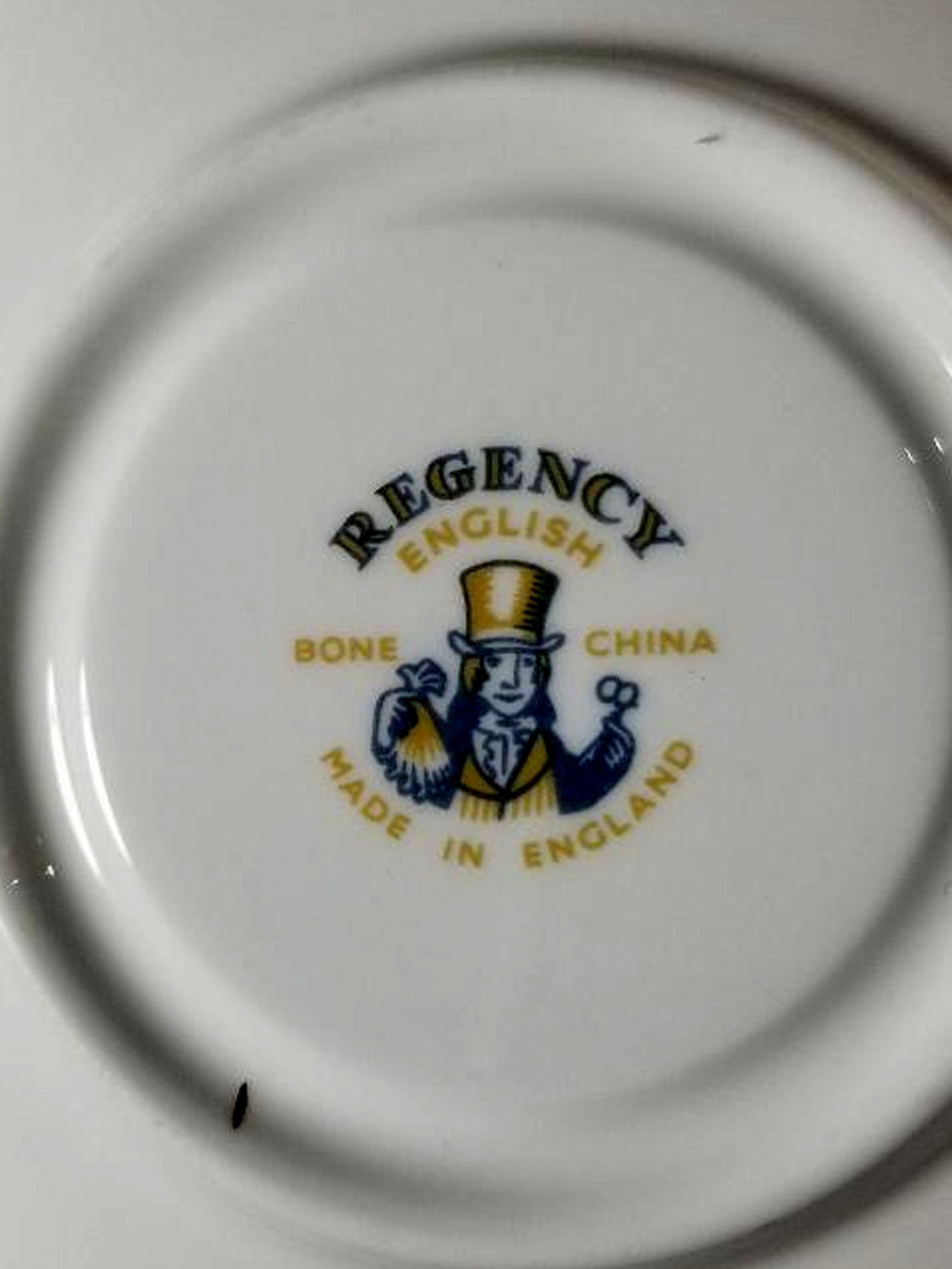 Vintage Regency Bone China Tea Cup and Saucer Property Room
