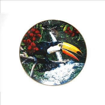 Toco Toucan 1981 Limited Edition Collectors Plate