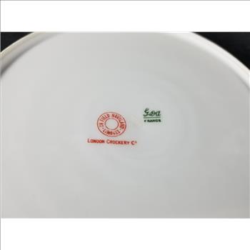 Vintage Limoges Hand Painted Serving Platter