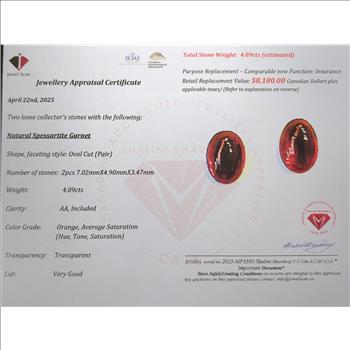 4.09 Carat Spessartite Garnet Gemstone Appraised $8,180.00