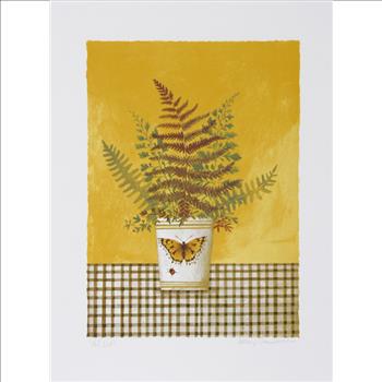 5 Limited Edition Signed Numbered Lithographs Etchings Value Over $2,500.00