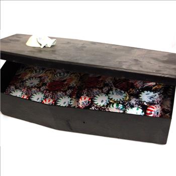 Halloween : New Possessed Coffin Candy - Motion Activated - 
