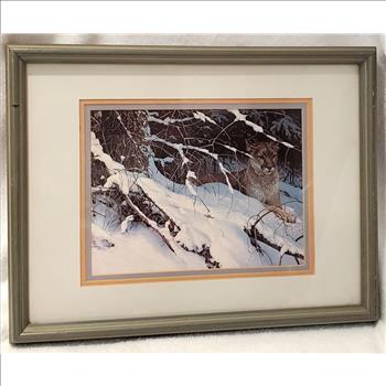 Vintage 1978 Cougar In The Snow by Robert Bateman Wooden Framed  Print
