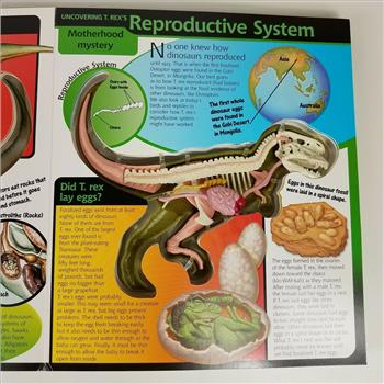 Uncover A T-Rex Take a Three-Dimensional Look Inside a T. Rex by Dennis Shatz