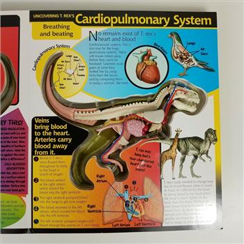 Uncover A T-Rex Take a Three-Dimensional Look Inside a T. Rex by Dennis Shatz