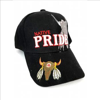 Native Pride Baseball Cap