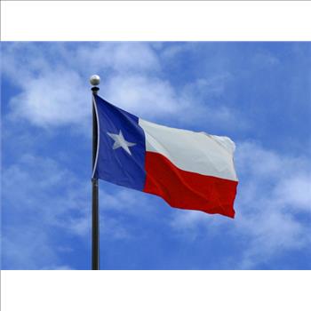Texas Lone Star Flag