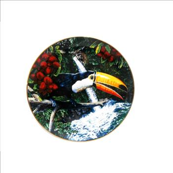Toco Toucan 1981 Limited Edition Collectors Plate
