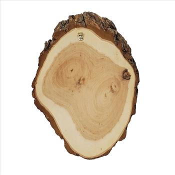 Vintage US Signed Burns 11 Wolf Head Hand Painted Wood Wall Plaque