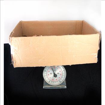 Jewelry - Over 10 Lbs of Assorted Gold and Silver Plated Jewelry