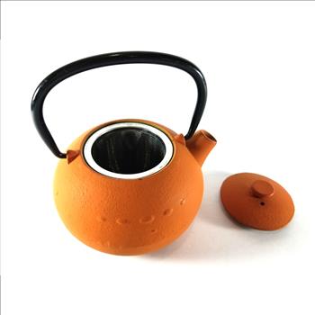 Cast Iron Tea Kettle With Handle