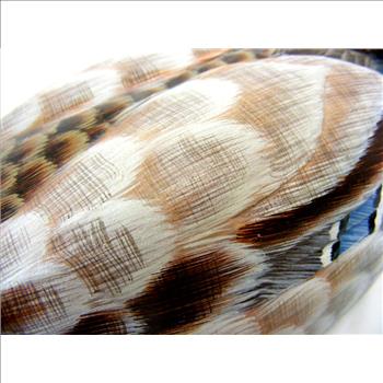 Mallard Duck Wood Carving