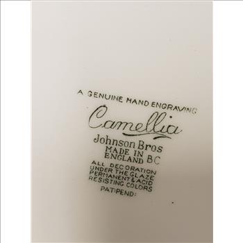 Vintage Johnson Brothers Genuine Hand Engraving Sage Camellia 10