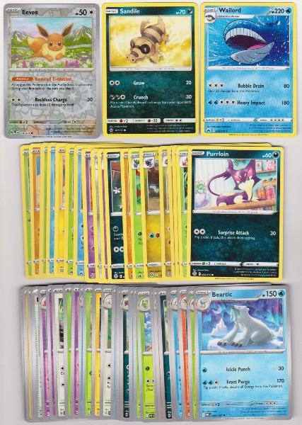 50 Different Pokemon Trading Cards w/ Eevee Reverse Holo + More