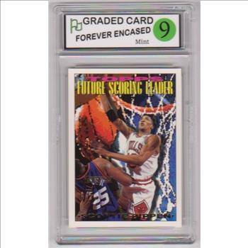 Labeled Mint 9 - Scottie Pippen 1993-94 Topps Gold #391 Insert Card