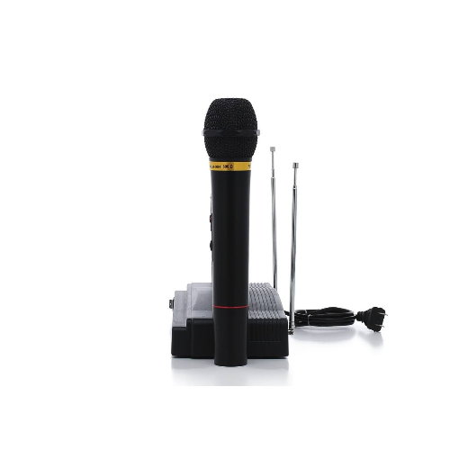 Professional Dual Wireless Dynamic Microphone System Property Room