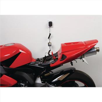 Automatic Battery Float Charger