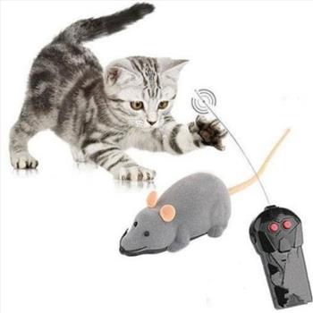 Remote Control Mouse for Pet