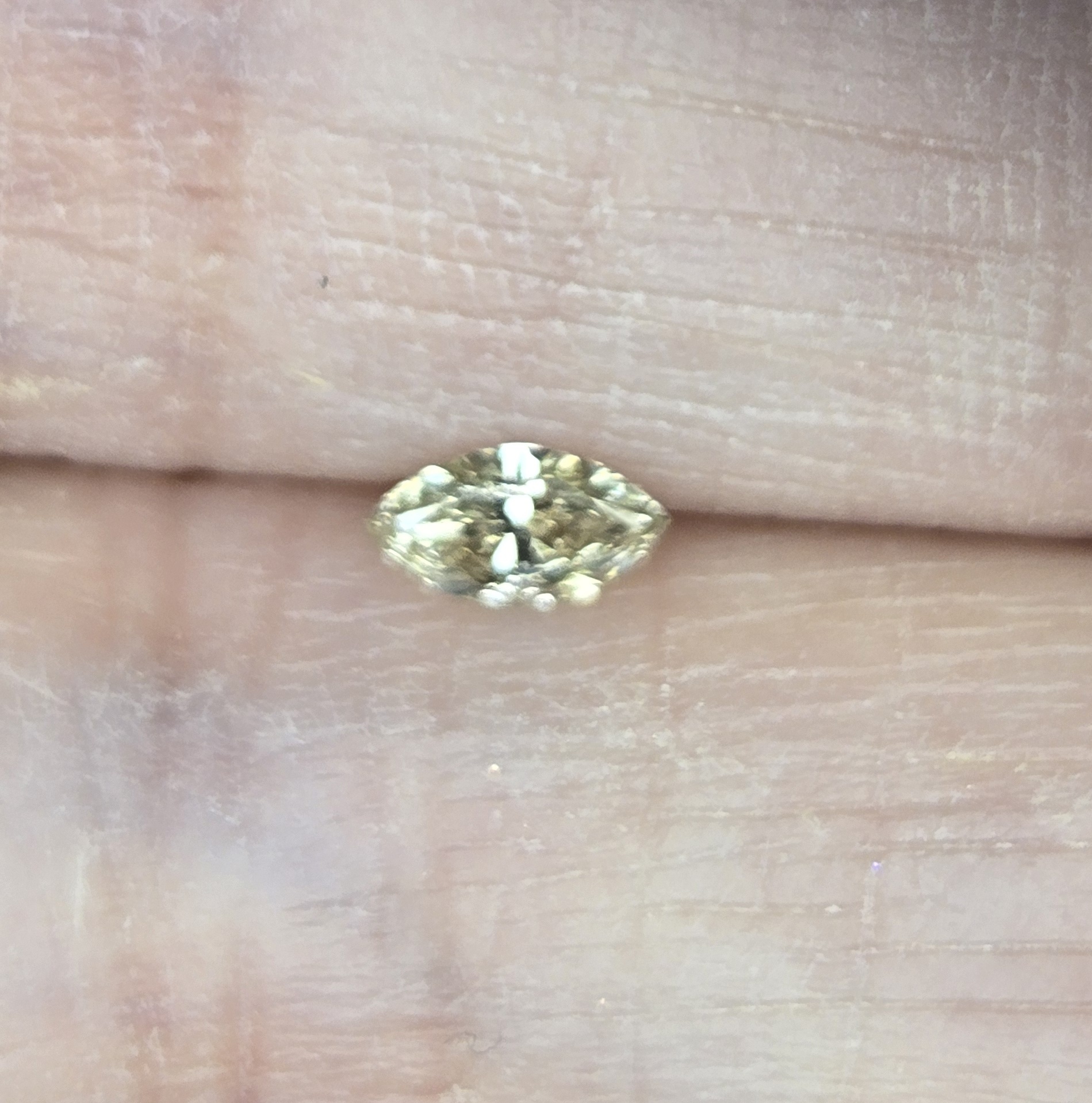 No Reserve .15 ct Natural Diamond Marquise Cut Loose Gemstone