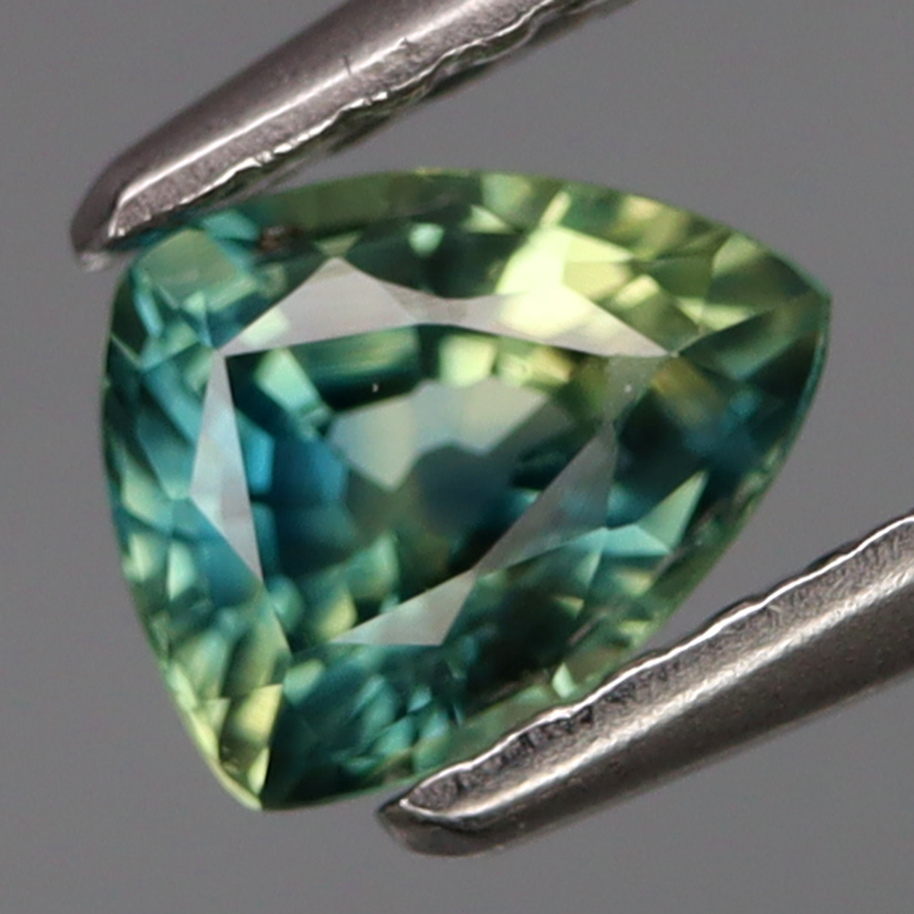 No Reserve VS Natural Bi Color Sapphire Trillion Cut Loose Gemstone