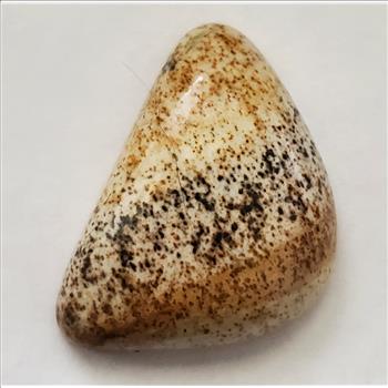 No Reserve 20.16 ct Natural Picture Jasper Loose Gemstone